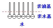 肥皂、洗衣粉和洗衣液三者有哪些區(qū)別？