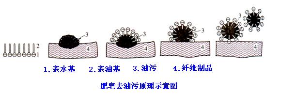 肥皂、洗衣粉和洗衣液三者有哪些區(qū)別？